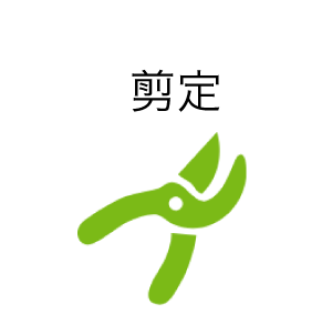 剪定
