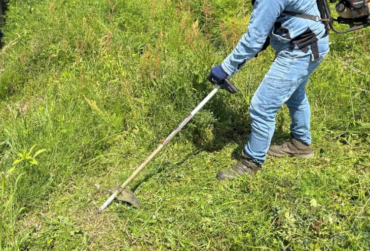 リンクの草刈り作業