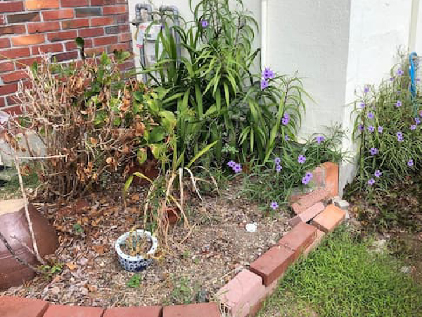 下関のリンクは地域密着で安心サポート