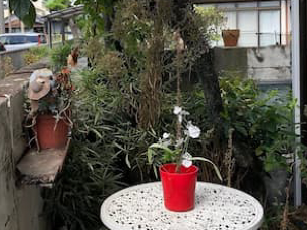 下関のリンクは地域密着で安心サポート