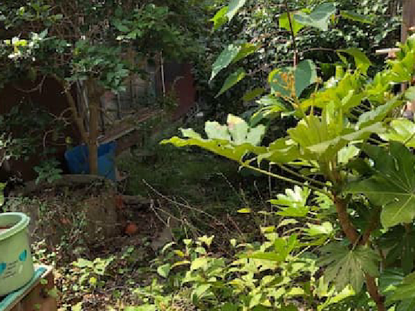 下関のリンクは地域密着で安心サポート