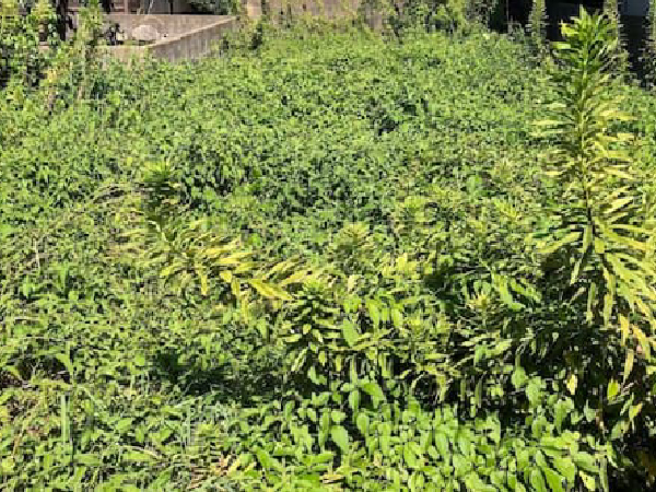 下関のリンクは地域密着で安心サポート